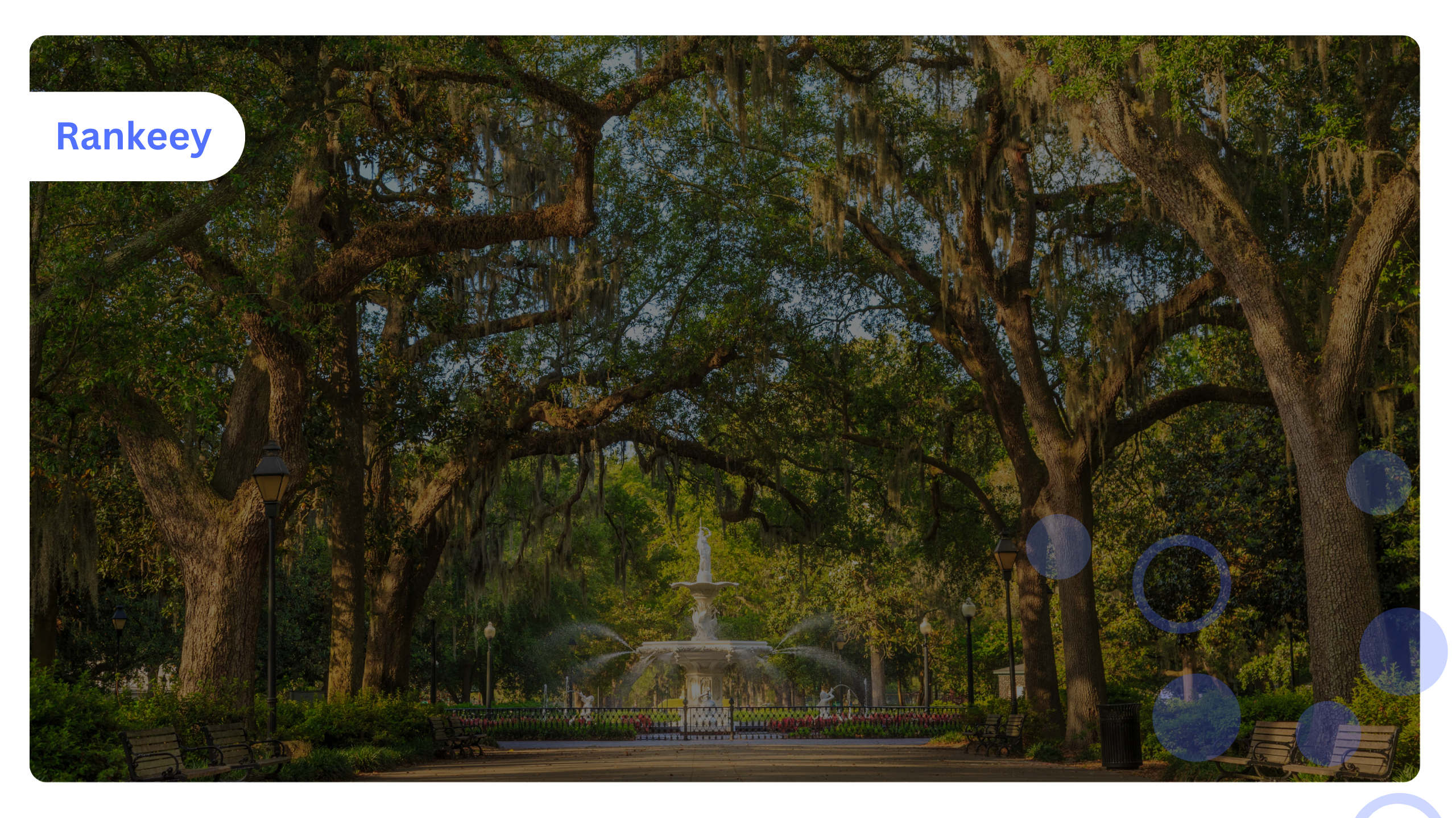 Savannah SEO Company
