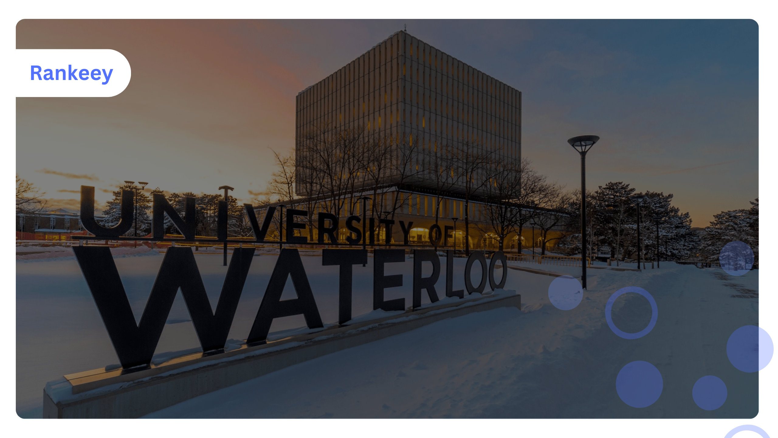 Waterloo CA SEO Company