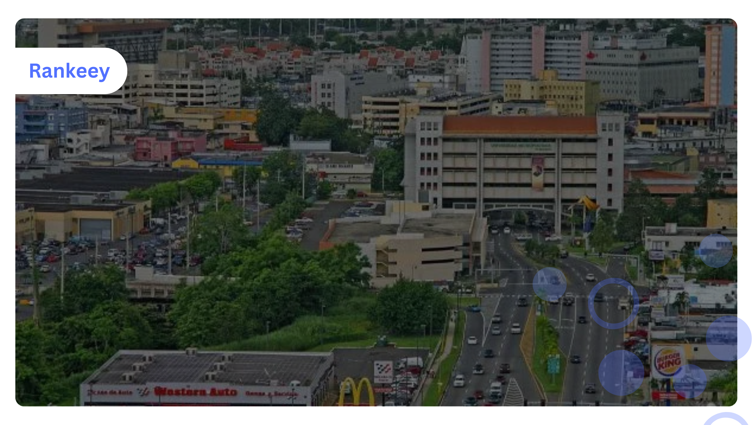 Bayamon SEO Company